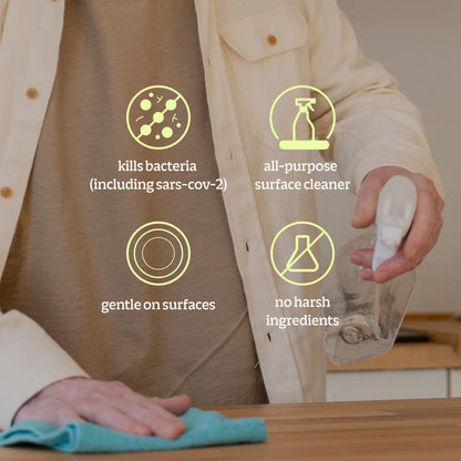 Sanitizer Disinfectant Bundle